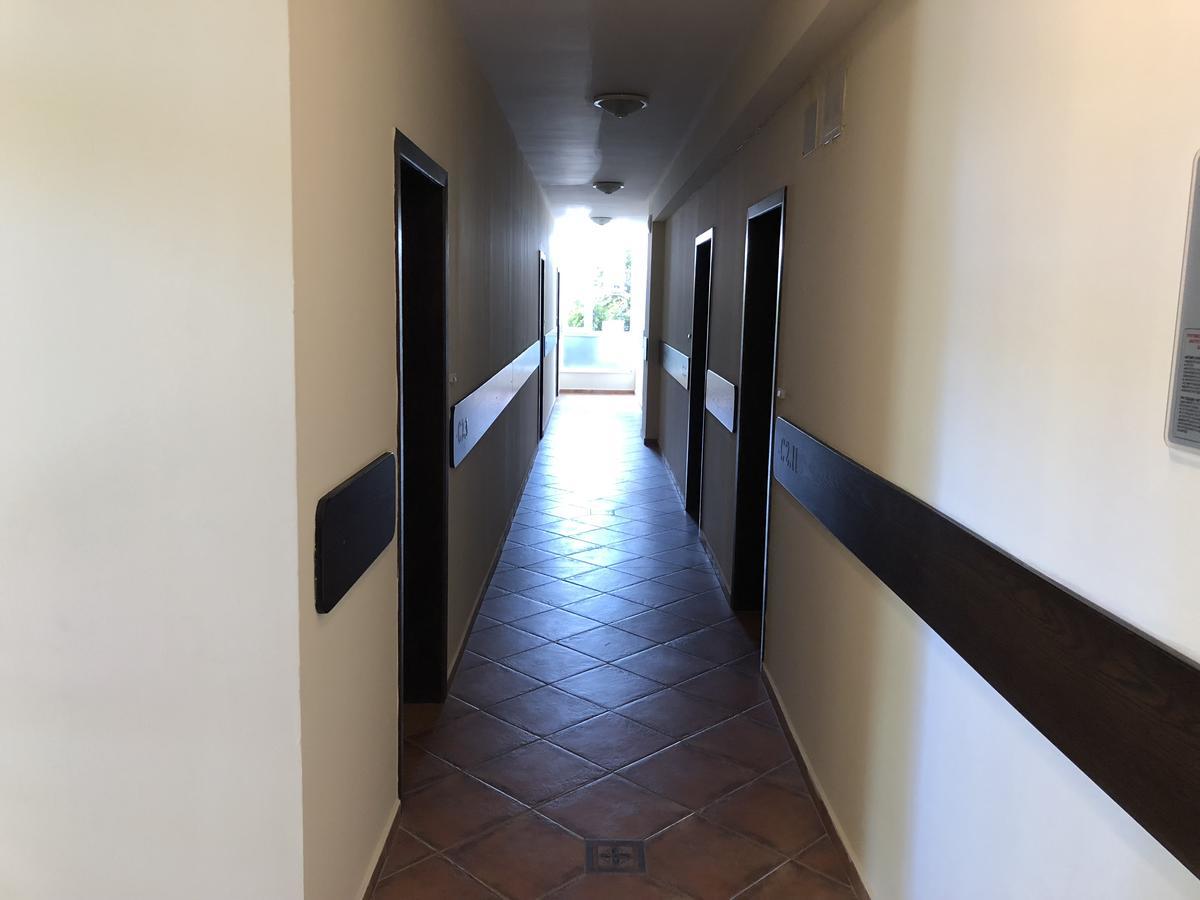 Vp Luxor Studio Свети-Влас Экстерьер фото